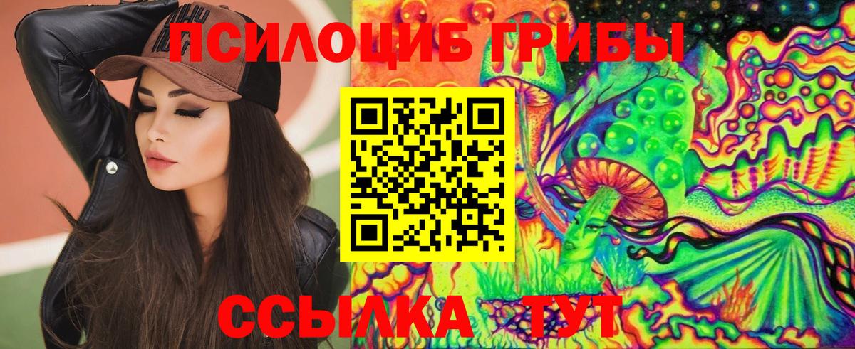 Крымск  Псилоцибиновые грибы GOLDEN TEACHER  Вход с VPN  цена   Галлюциногенные грибы Cubensis 